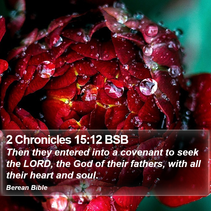 2 Chronicles 15:12 BSB Bible Study