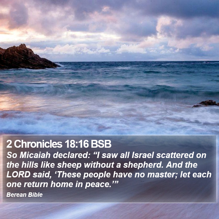 2 Chronicles 18:16 BSB Bible Study