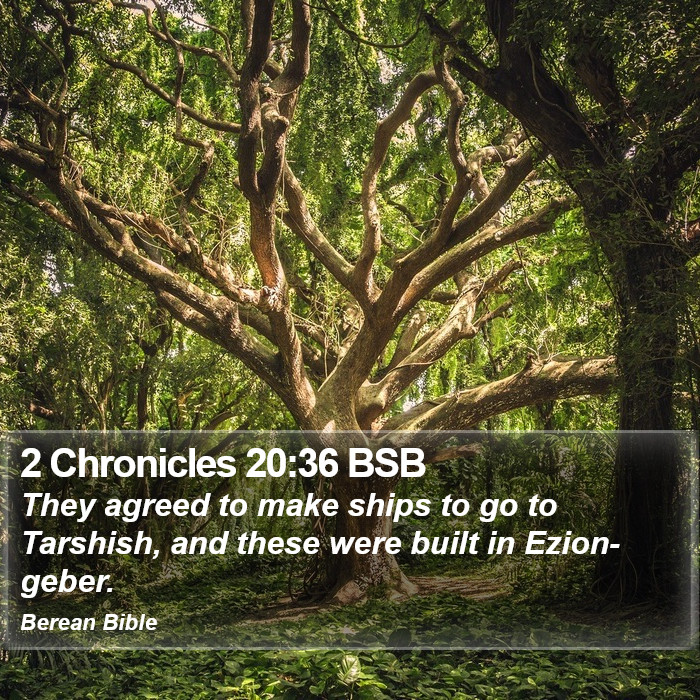 2 Chronicles 20:36 BSB Bible Study