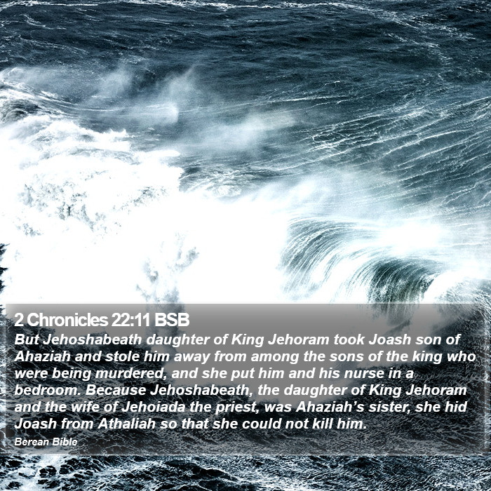 2 Chronicles 22:11 BSB Bible Study