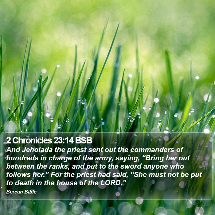 2 Chronicles 23:14 BSB Bible Study