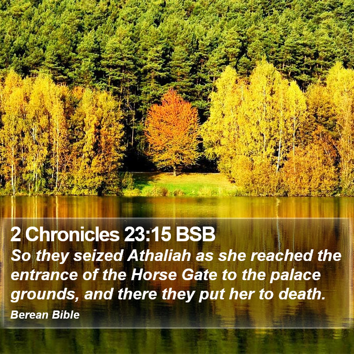 2 Chronicles 23:15 BSB Bible Study