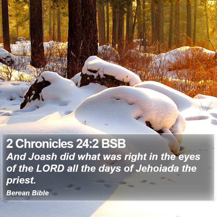 2 Chronicles 24:2 BSB Bible Study