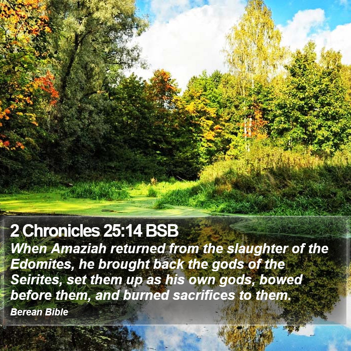 2 Chronicles 25:14 BSB Bible Study