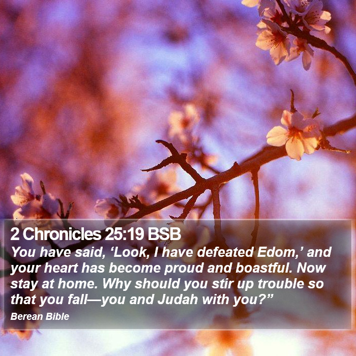 2 Chronicles 25:19 BSB Bible Study