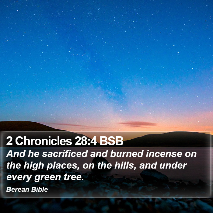 2 Chronicles 28:4 BSB Bible Study