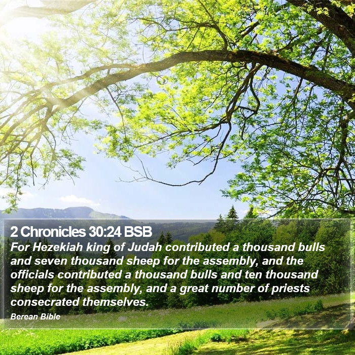 2 Chronicles 30:24 BSB Bible Study