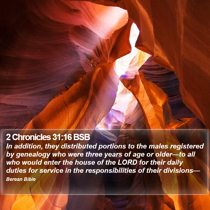 2 Chronicles 31:16 BSB Bible Study