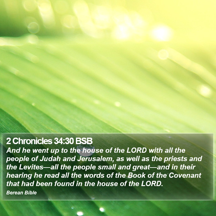 2 Chronicles 34:30 BSB Bible Study