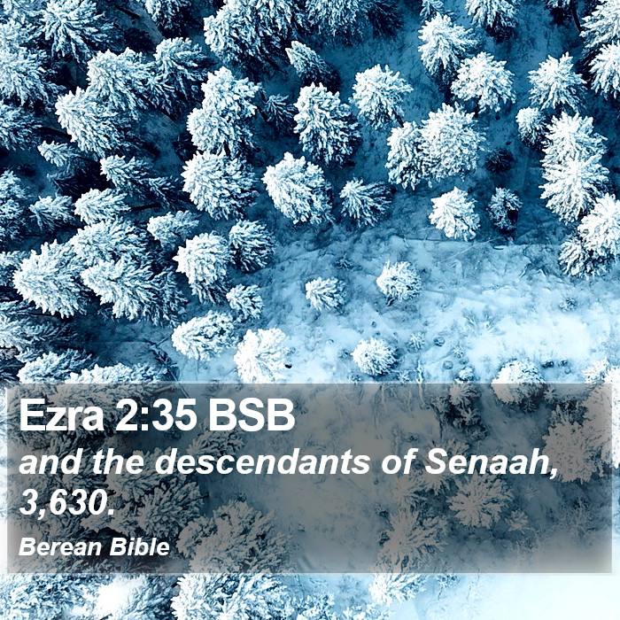 Ezra 2:35 BSB Bible Study