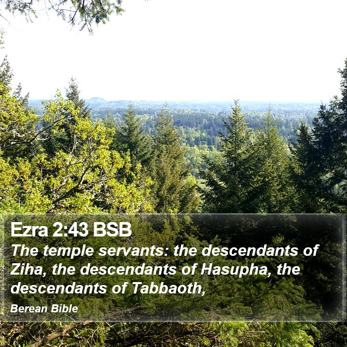 Ezra 2:43 BSB Bible Study