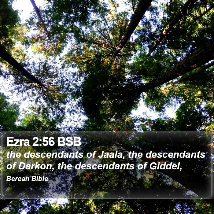 Ezra 2:56 BSB Bible Study