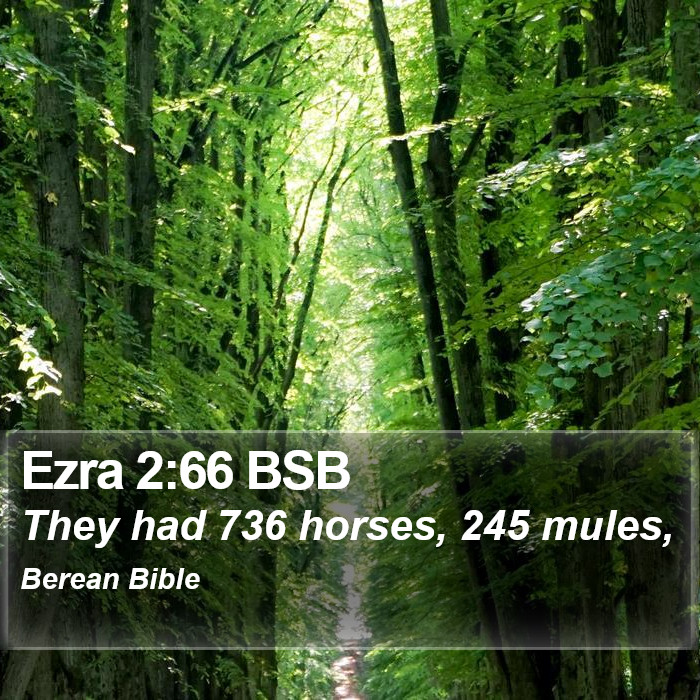 Ezra 2:66 BSB Bible Study