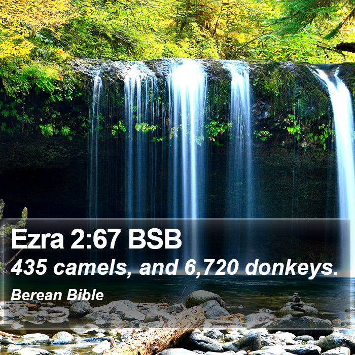 Ezra 2:67 BSB Bible Study