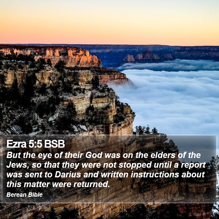 Ezra 5:5 BSB Bible Study