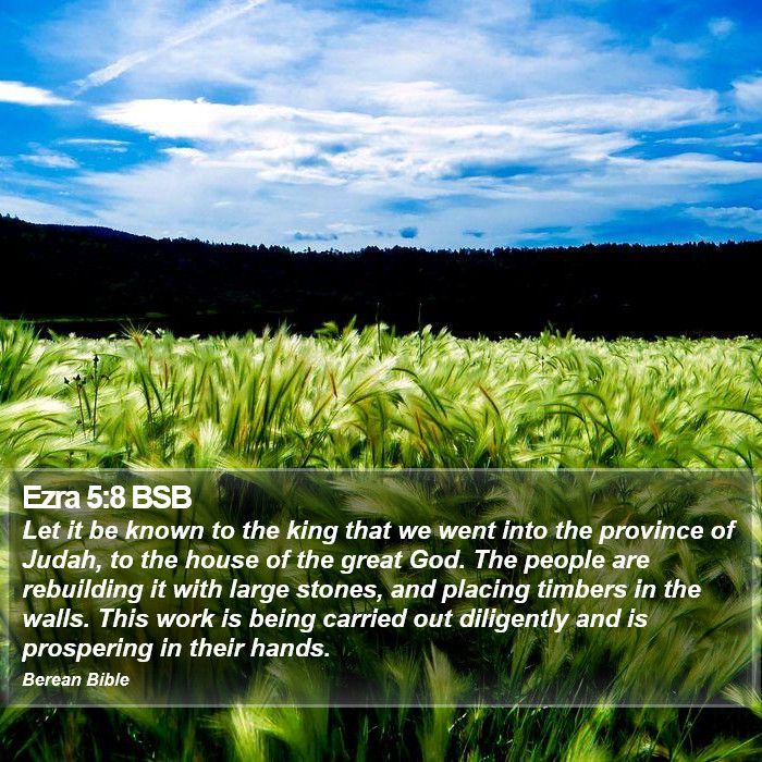 Ezra 5:8 BSB Bible Study