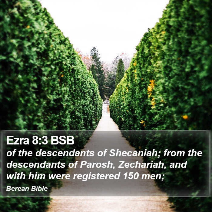 Ezra 8:3 BSB Bible Study