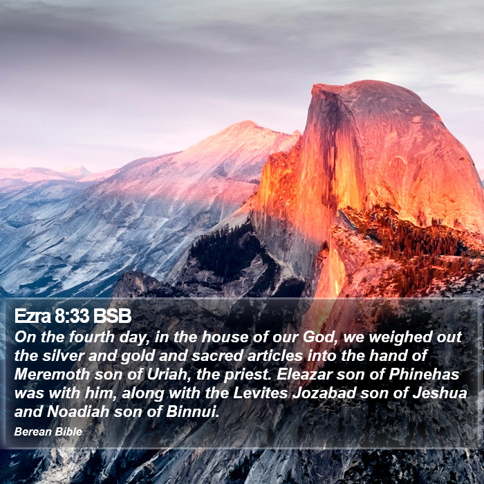 Ezra 8:33 BSB Bible Study