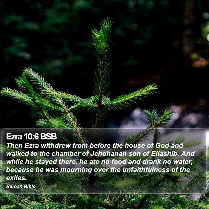 Ezra 10:6 BSB Bible Study