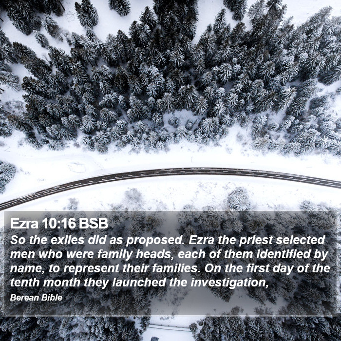 Ezra 10:16 BSB Bible Study