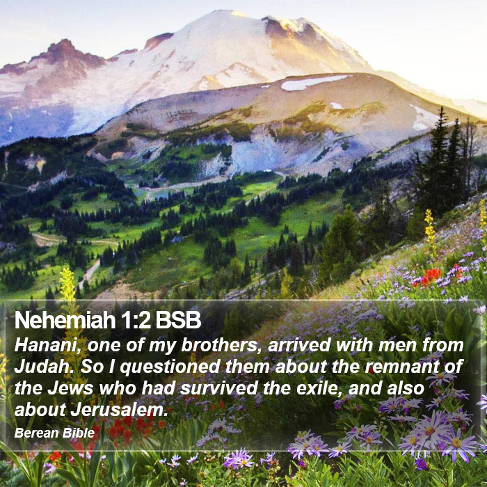 Nehemiah 1:2 BSB Bible Study