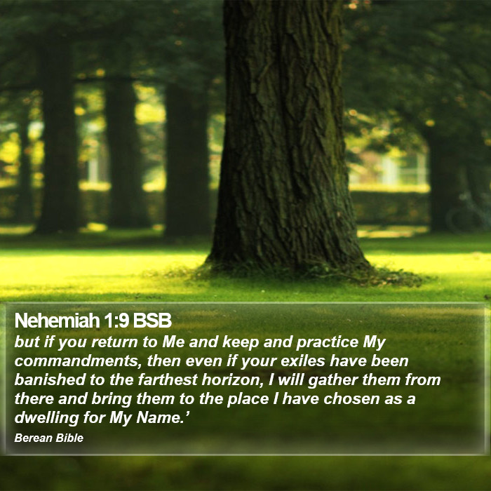 Nehemiah 1:9 BSB Bible Study