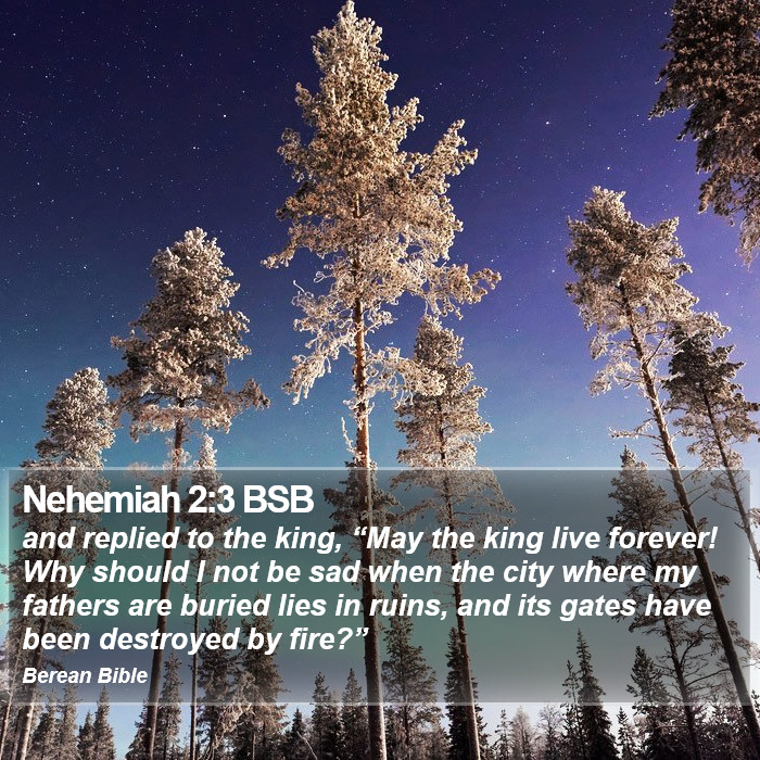 Nehemiah 2:3 BSB Bible Study