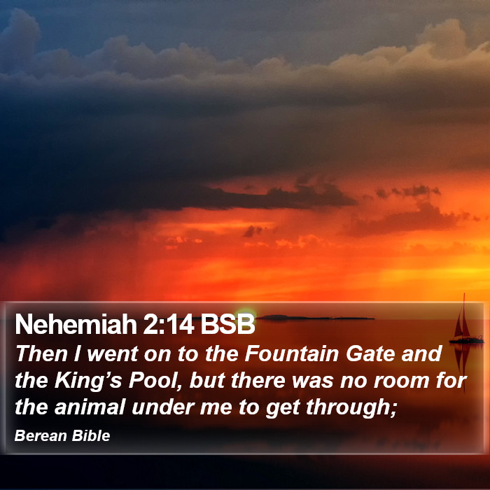 Nehemiah 2:14 BSB Bible Study