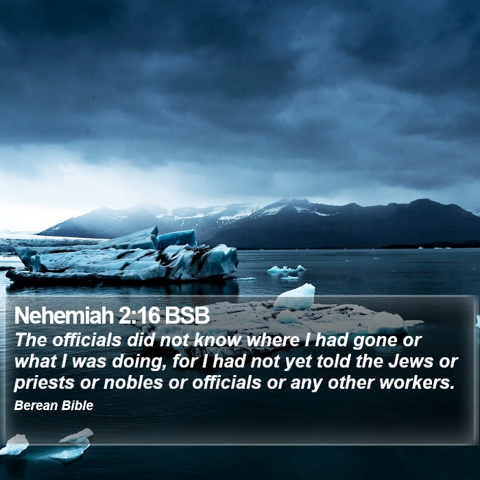 Nehemiah 2:16 BSB Bible Study