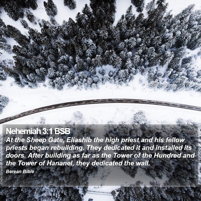 Nehemiah 3:1 BSB Bible Study