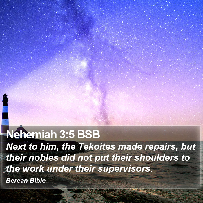 Nehemiah 3:5 BSB Bible Study