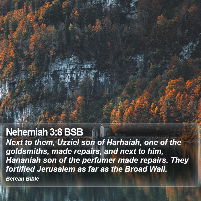 Nehemiah 3:8 BSB Bible Study