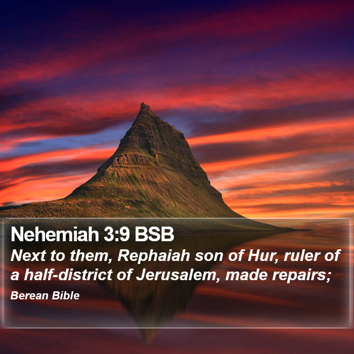 Nehemiah 3:9 BSB Bible Study