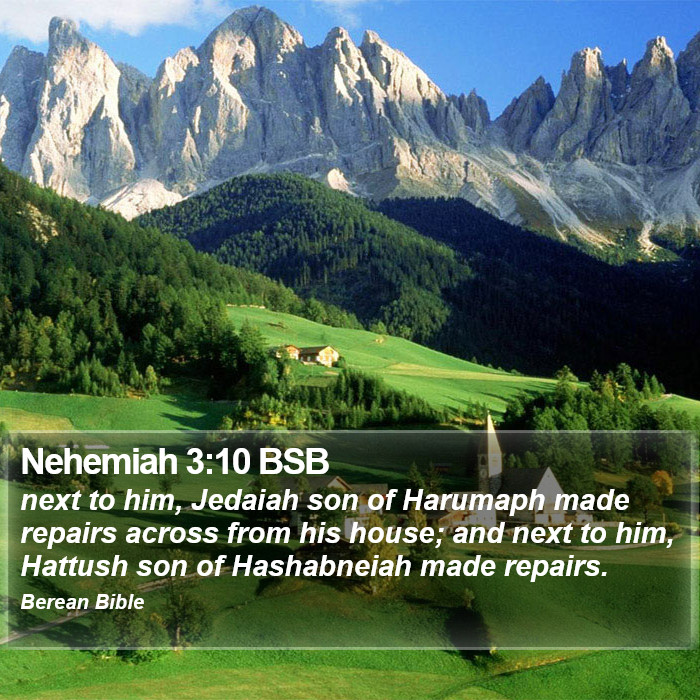 Nehemiah 3:10 BSB Bible Study