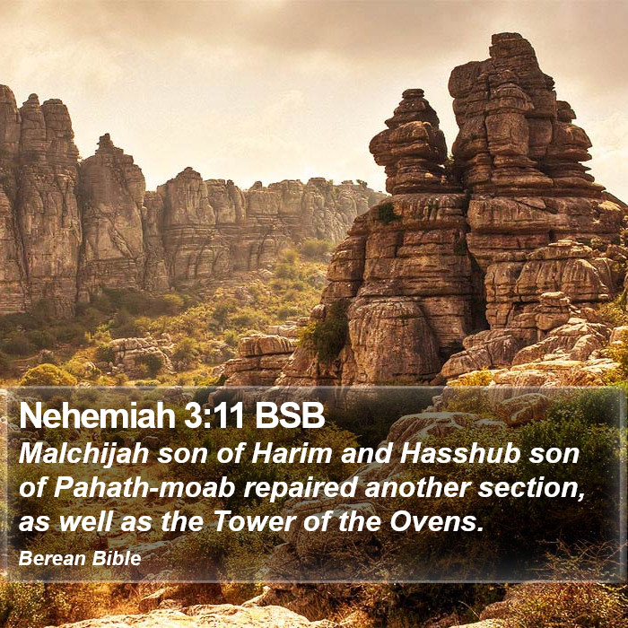 Nehemiah 3:11 BSB Bible Study