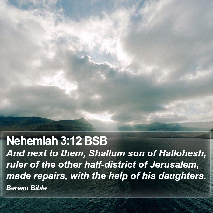 Nehemiah 3:12 BSB Bible Study