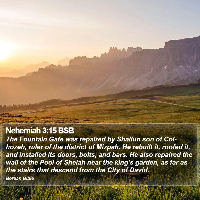 Nehemiah 3:15 BSB Bible Study