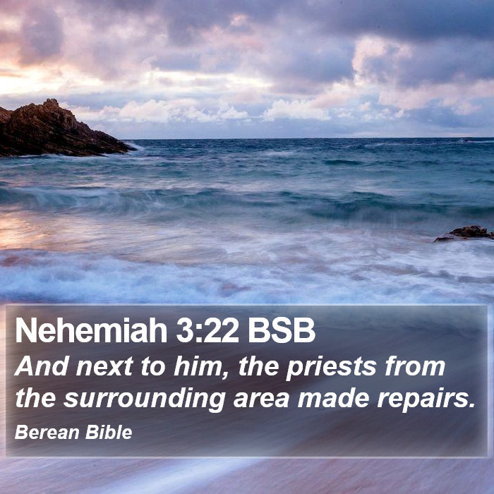 Nehemiah 3:22 BSB Bible Study