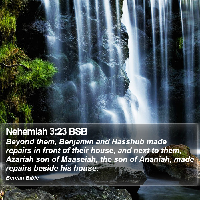 Nehemiah 3:23 BSB Bible Study