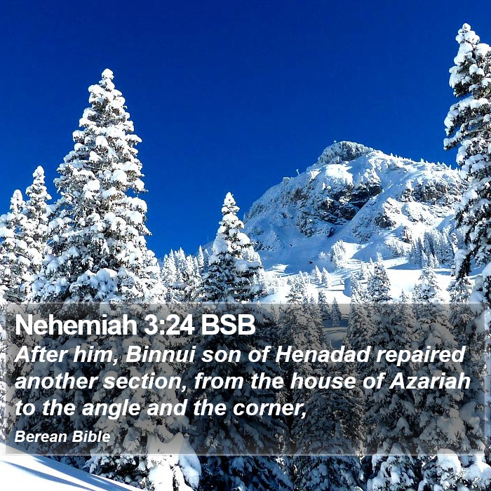 Nehemiah 3:24 BSB Bible Study