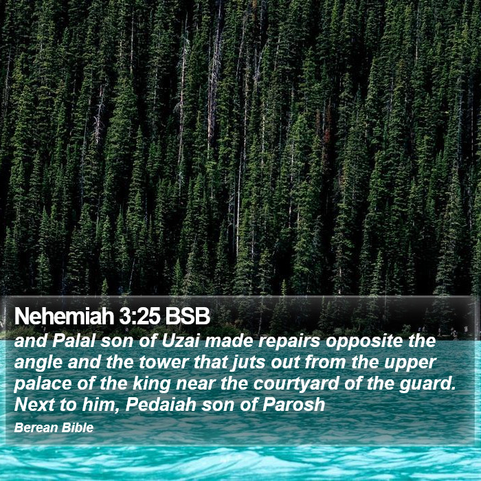 Nehemiah 3:25 BSB Bible Study