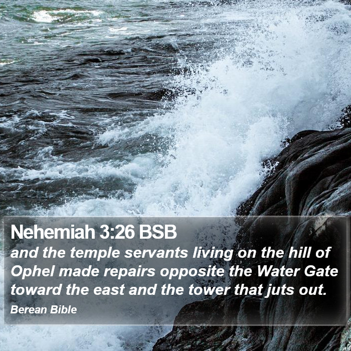 Nehemiah 3:26 BSB Bible Study