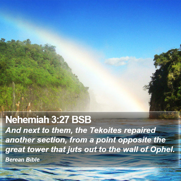 Nehemiah 3:27 BSB Bible Study