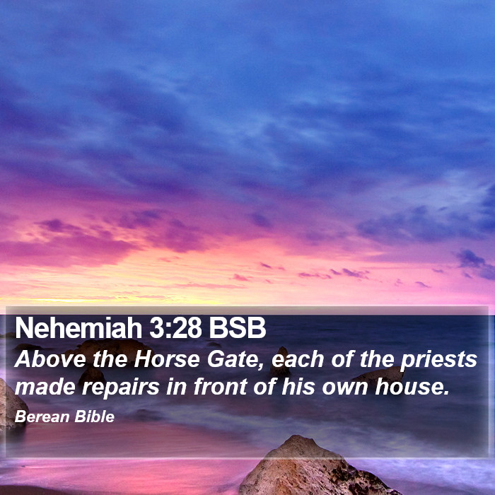 Nehemiah 3:28 BSB Bible Study