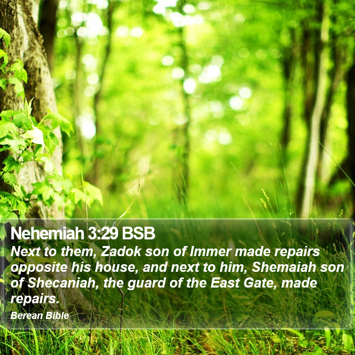 Nehemiah 3:29 BSB Bible Study