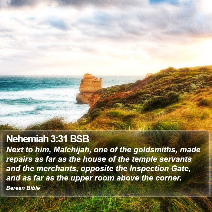 Nehemiah 3:31 BSB Bible Study