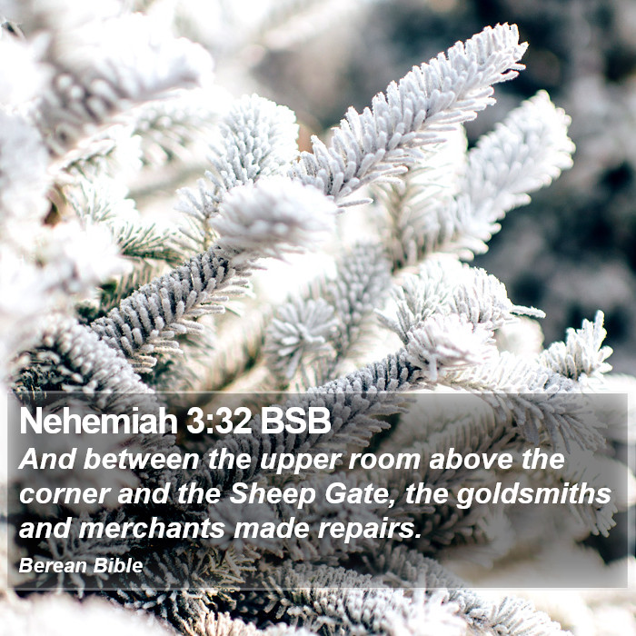 Nehemiah 3:32 BSB Bible Study