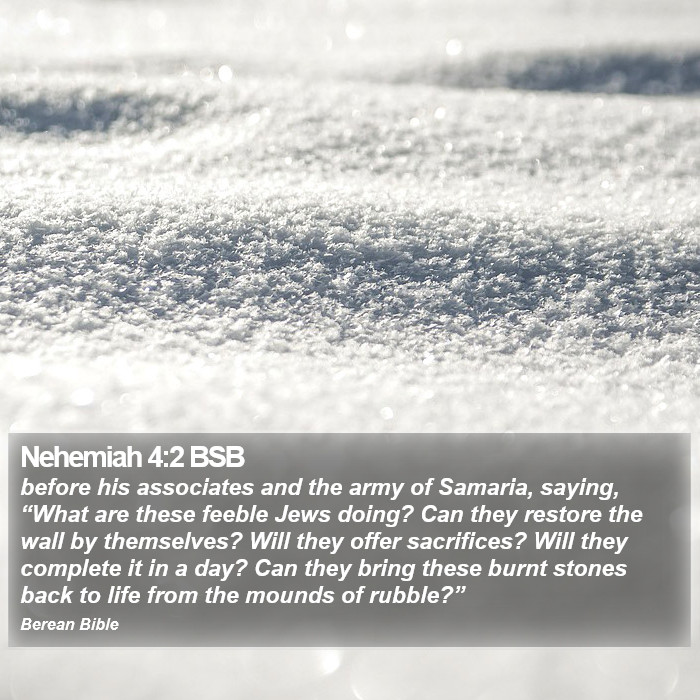 Nehemiah 4:2 BSB Bible Study