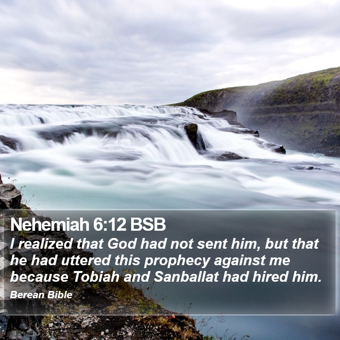 Nehemiah 6:12 BSB Bible Study