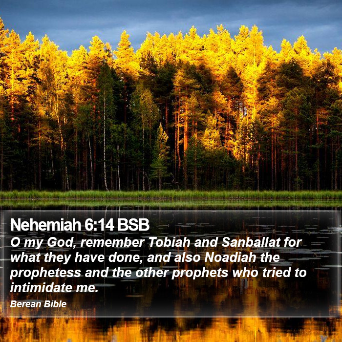 Nehemiah 6:14 BSB Bible Study